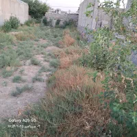 معاوضه زمین۲۶۰متری دارای سندتکبرگ باخودرو اروندی|فروش زمین و ملک کلنگی|باغ ملک, |دیوار
