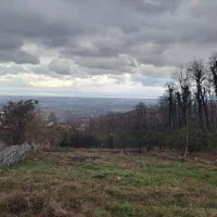 فروش فوری زمین