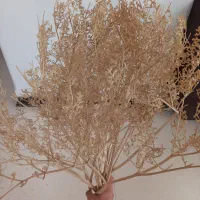 گلدان با گل خشک|گل مصنوعی|تهران, اختیاریه|دیوار