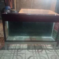 معاوضه با هرچی