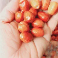 سنجد تازه وخوشمزه|خوردنی و آشامیدنی|ایلخچی, |دیوار