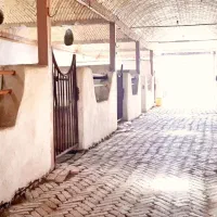 اجاره اصطبل و باکس اسب