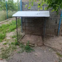 قفس|لوازم جانبی حیوانات|مرند, |دیوار