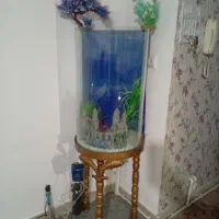 فروش آکواریوم با تمامی وسایل|ماهی|بروجرد, |دیوار