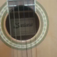 گیتار سانتانا پیکاپدار|گیتار، بیس، امپلیفایر|قوچان, |دیوار