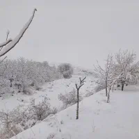 خانه دوطبقه شیک ۱۴ قصب درب ساختمان سند و پایان‌کار