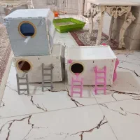 لانه جاوا کوتوله و عروس