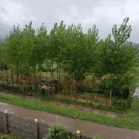 زمین مسکونی وباغی ۴۰۰مترسراوان سنگرسیاهکل قاضیان