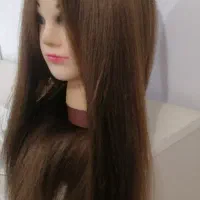 کله مانکن شینیون، بافت نو