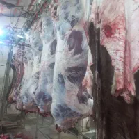 قصاب قصابی بی خسی