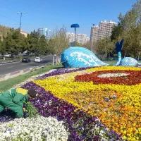 خدمات باغبانی وفضای سبز،هرس، چمنزنی،کاشت ونگهداری|خدمات باغبانی و درختکاری|تهران, دریا|دیوار