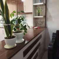 سوییت سوئیت آپارتمان خانه اجاره ای منزل|اجارهٔ کوتاهمدت آپارتمان و سوئیت|مشهد, موسوی قوچانی|دیوار