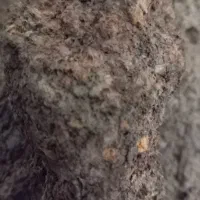 سلام عرض ادب و ارادت خدمت شما سنگ قیمتی در حفاری|کلکسیون اشیاء عتیقه|چناران, |دیوار