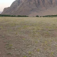 فروش زمین ۹۸۰ متری با سند رسمی تک برگ