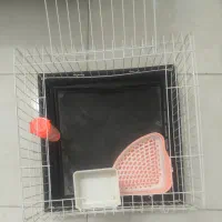 قفسه خرگوش و همستر|موش و خرگوش|تهران, ازگل|دیوار