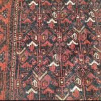 فرش کهنه سرتاسر زابل|فرش|خوی, |دیوار