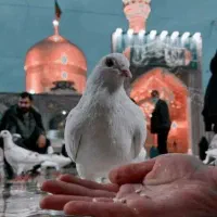 سفر مشهد اقتصادی ۶ روزه 4 روز اقامت منو انتخابی