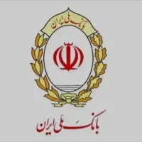 ضامن میخوام