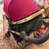 کالسکه صندلی غذا کریر