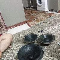 باند و وایب و تیوتر