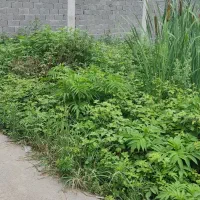 فروش زمین