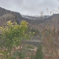 باغ شهری ۴ ساله