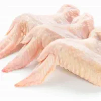 کتف وبال هدایت دزفول