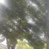 زمین محصور برای اجاره