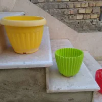 تعدای گلدان سفالی و پلاستیکی سالم و تمیز|گل و گیاه طبیعی|گنبد کاووس, |دیوار