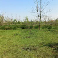زمین ۴۲۷۷ متری با ۲۰۰ متر مسکونی (در پسیخان)|فروش زمین و ملک کلنگی|رشت, پسیخان|دیوار