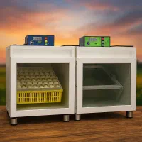 دستگاه جوجه کشی|لوازم جانبی حیوانات|آمل, |دیوار