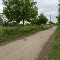 زمین-کلبه-ویلا-سندتک-برگ