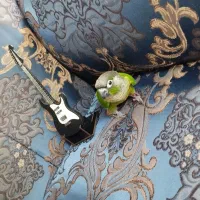 گرینچیک بازیگوش و باهوش