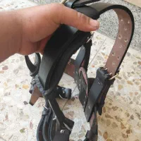 کمربند علم