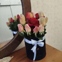 گل سانسوریا و باکس گل و وو|گل و گیاه طبیعی|سهند, |دیوار