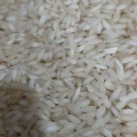 برنج تازه شرطی