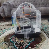 قفسه عروس هلندی