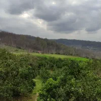 زمین کشاورزی