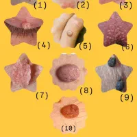 زندگی رو برای خودت آسون کن