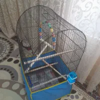 لوازم عروس هلندی