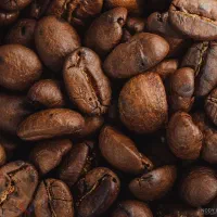 قهوه دانه برشته عربیکا روبوستا گرید ۱ AAA|خوردنی و آشامیدنی|پاکدشت, شهرک امام رضا|دیوار