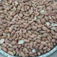 مغز بادام زمینی خاکی خام و شور