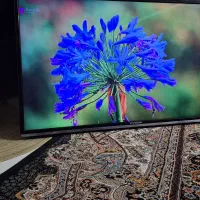 تلویزیون ایکس ویژن ۴۹ اینچ