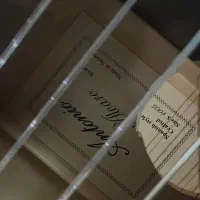 گیتار antonio alvarez|گیتار، بیس، امپلیفایر|تهران, تهرانپارس غربی|دیوار