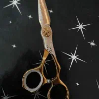 قیچی اصلاح مو کاملا سالم و نو|آرایشی، بهداشتی، درمانی|رشت, سلیمانداراب|دیوار