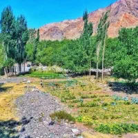 زمین دهبکری لب جاده اصلی