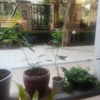 لابی من مجتمع مسکونی