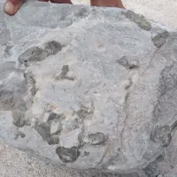 سنگ طلای دروغین (کاربرد در بدلیجات)