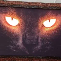 تابلو|تابلو، نقاشی، عکس|برازجان, |دیوار