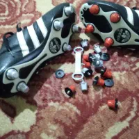 کفش.ورزشی